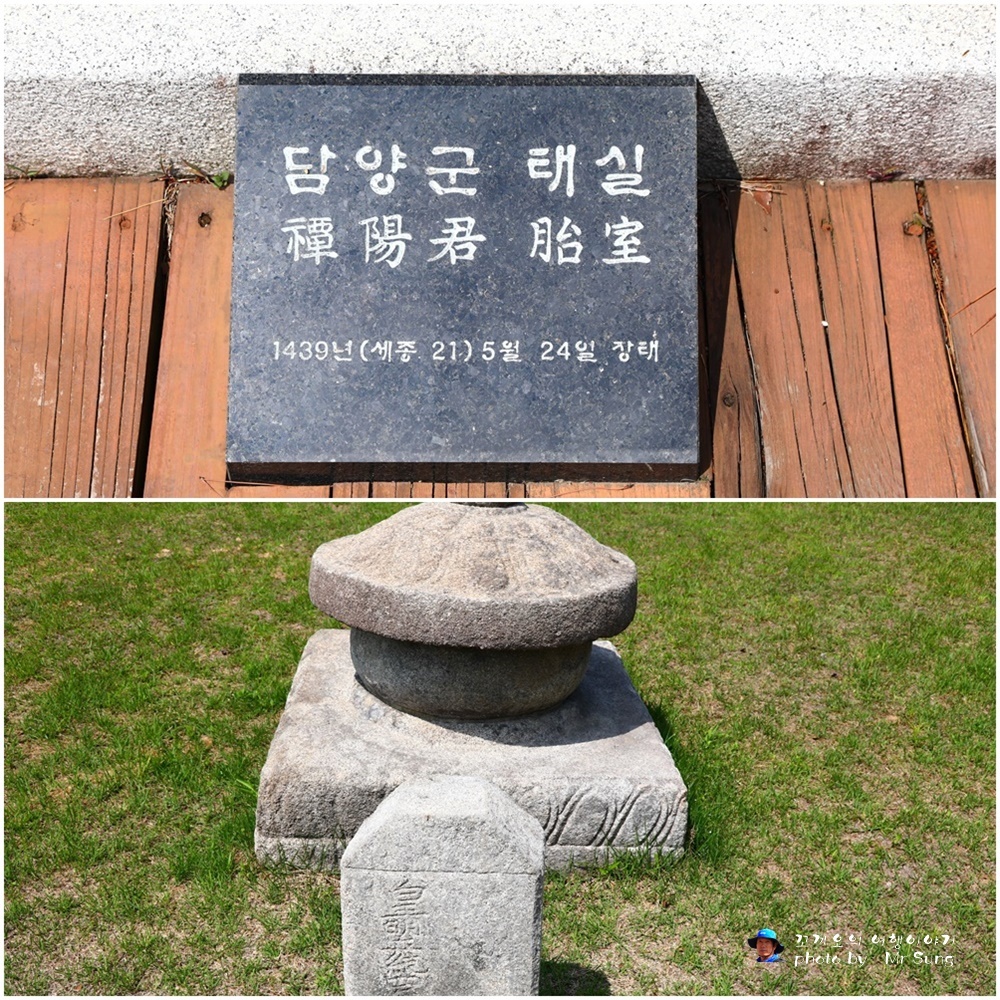 태가 이미지