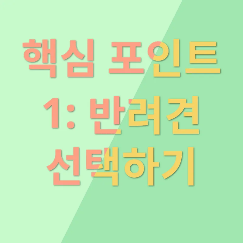 반려견 입양_1