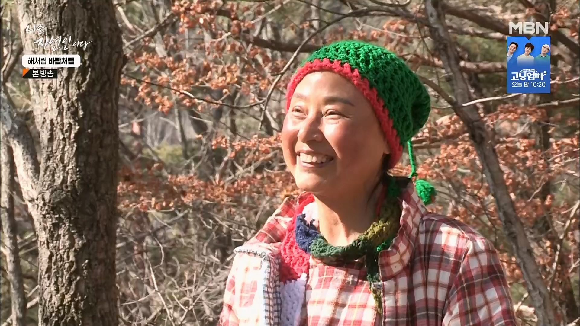 나는 자연인이다.E542.230222p.H264-F1RST.mp4_20230223_195842.912.jpg