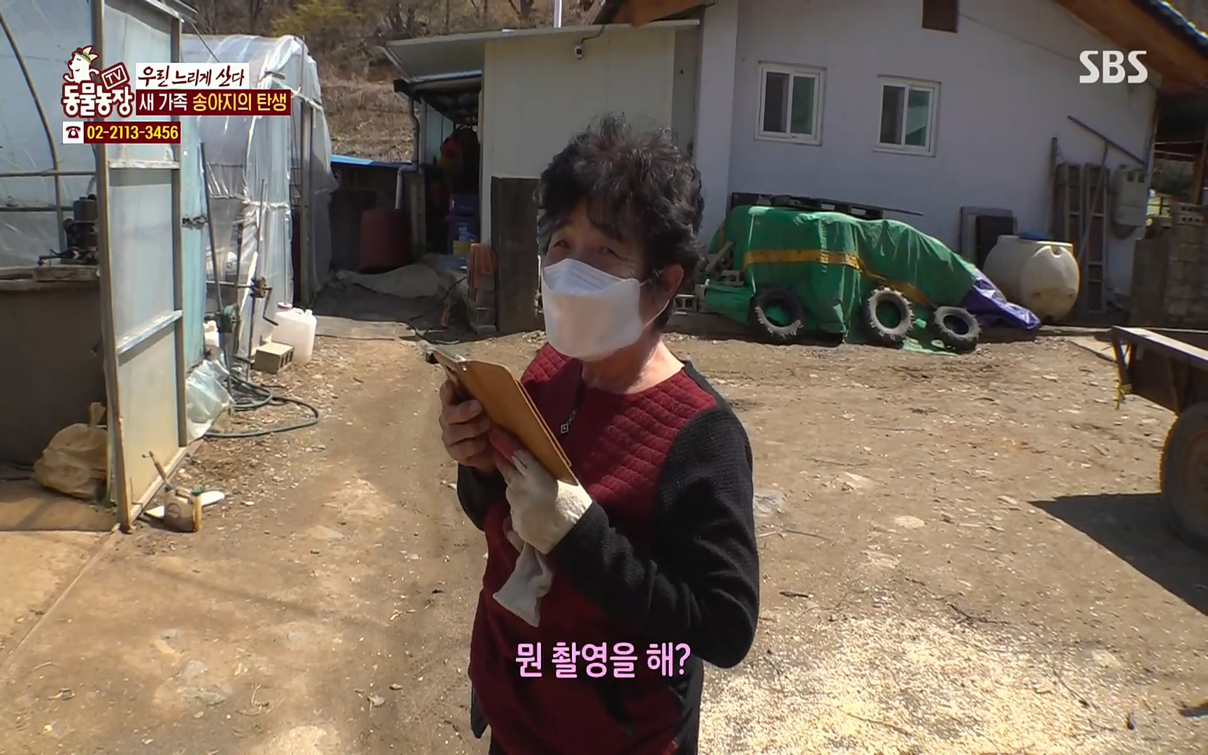 TV 동물농장.E1067.220501p.H264-F1RST.mp4_20220501_183503.765.jpg