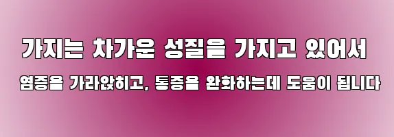  가지는 차가운 성질을 가지고 있어서 염증을 가라앉히고, 통증을 완화하는데 도움이 됩니다