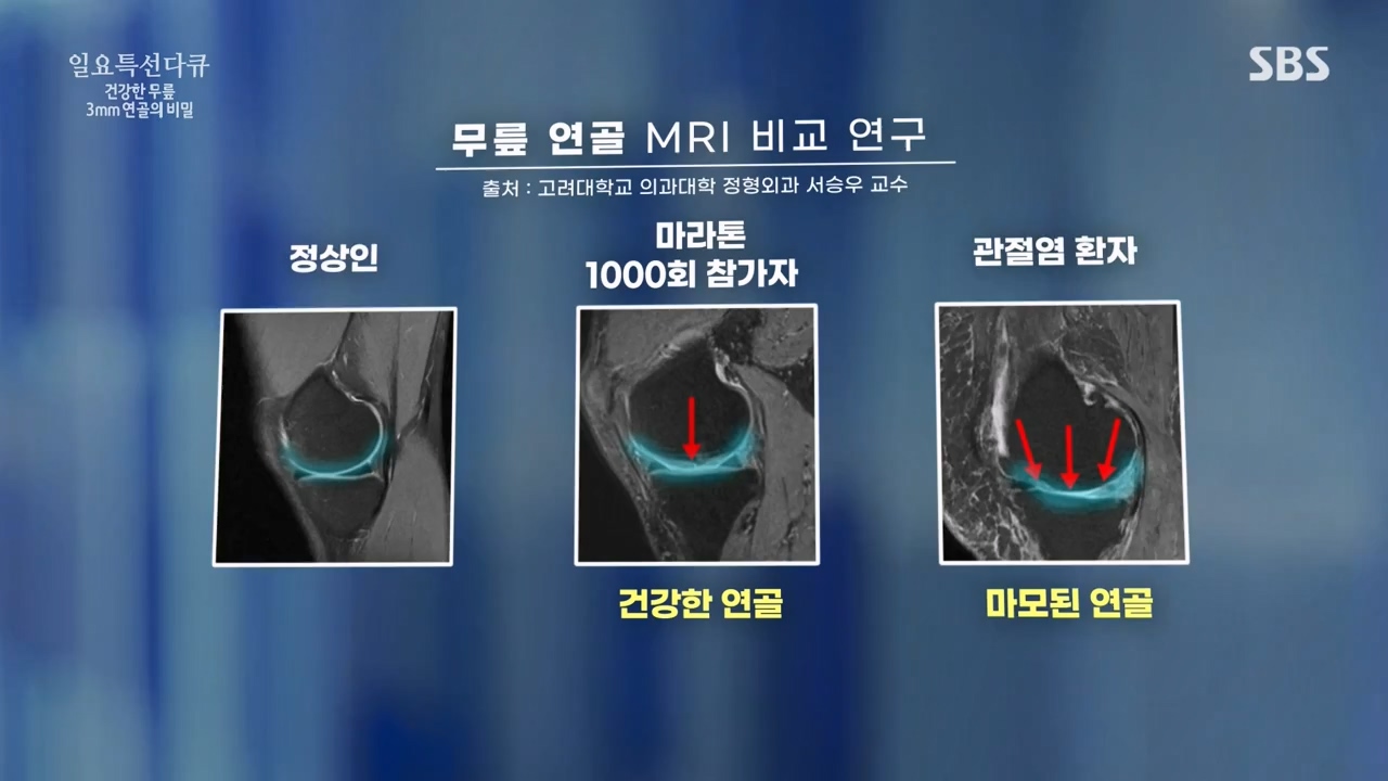 일요특선 다큐멘터리.E341.240318p-NEXT.mp4_20240317_190303.777.jpg
