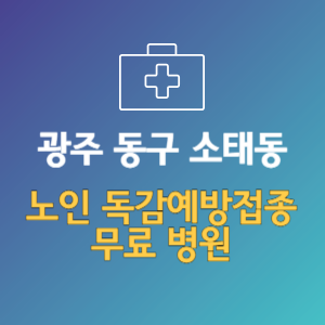 광주 동구 소태동 노인 독감예방접종 무료 병원 (인플루엔자 무료 접종 대상 날짜)