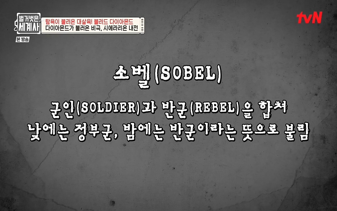 벌거벗은 세계사.E62.220831p-NEXT.mp4_20220905_201752.030.jpg