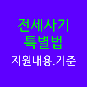  전세사기 특별법, 피해자 지원 및 기준 사기예방 체크리스트