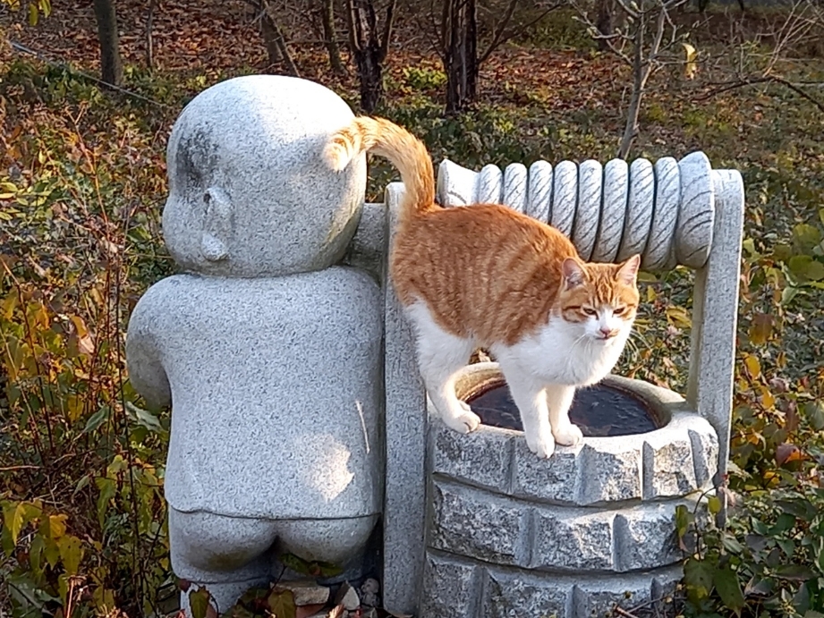 img.jpg