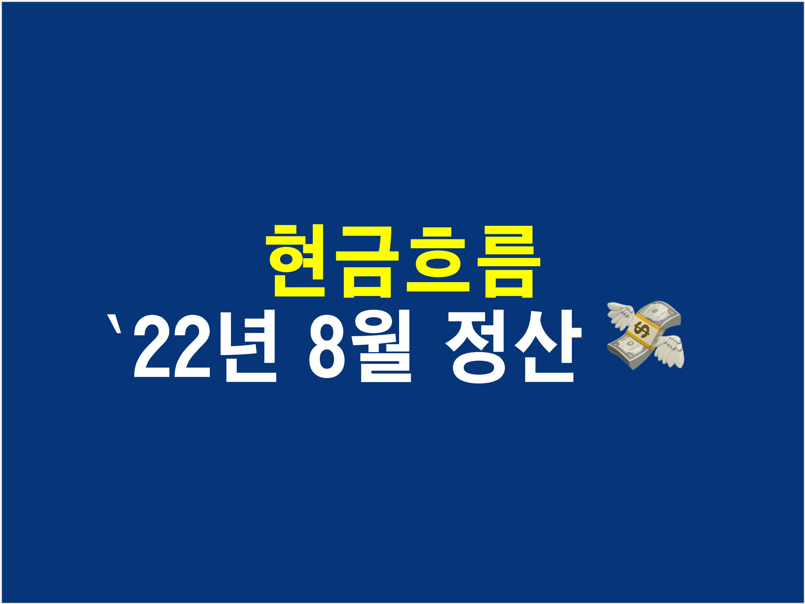 22년-8월-현금흐름