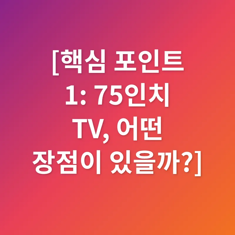 75인치 TV_1