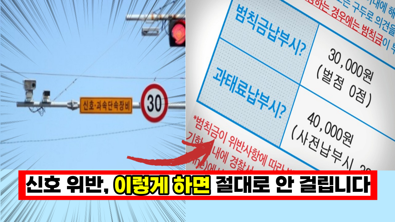  운전자 85%가 모르는 '교차로 신호위반' 이렇게 하면 진짜 안걸립니다.