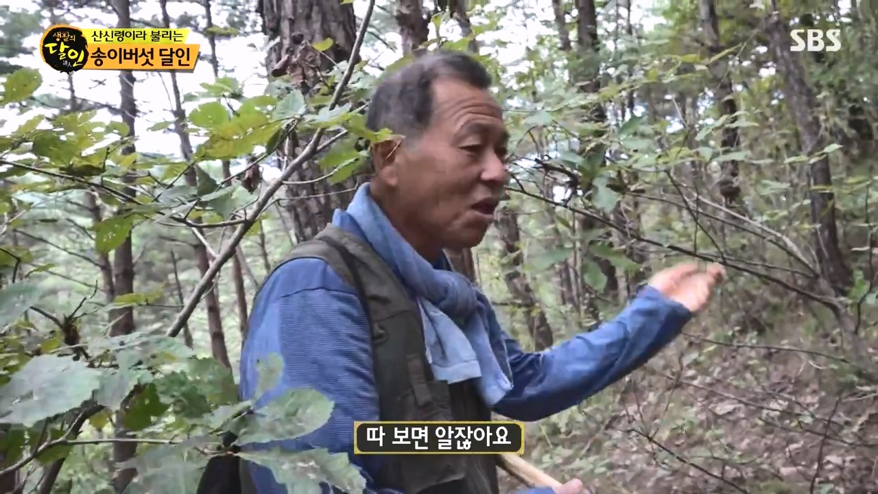 생활의 달인.E907.231010p-NEXT.mp4_20231010_202732.559.jpg