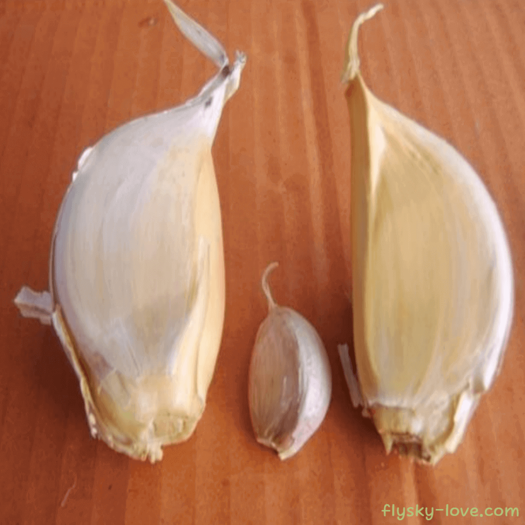 코끼리 마늘 (Elephant Garlic) 효능