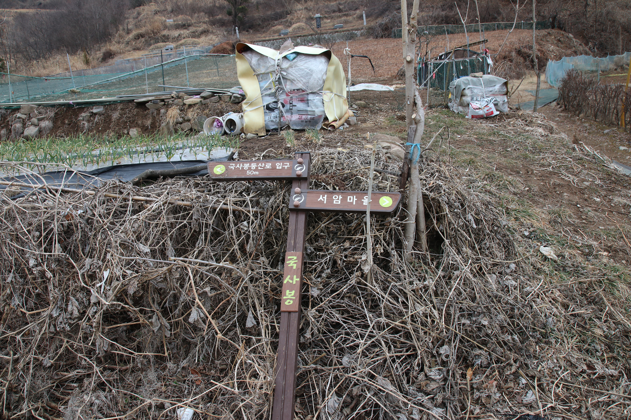 경남 의령군 국사봉 05 70