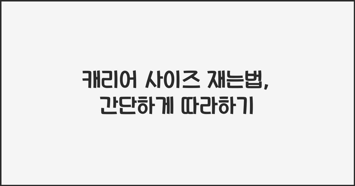 캐리어 사이즈 재는법