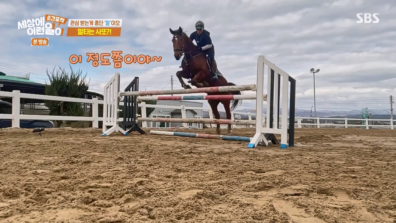 순간포착 세상에 이런일이.E1267.240303p-NEXT.mp4_20240303_162010.272.jpg