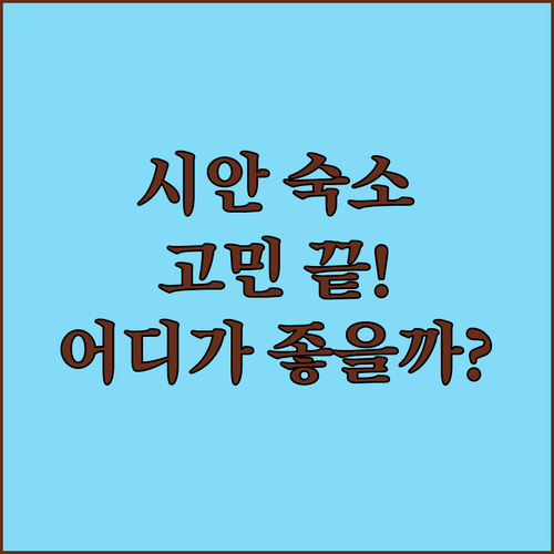시안 숙소 고민 끝! 2024년 오픈
