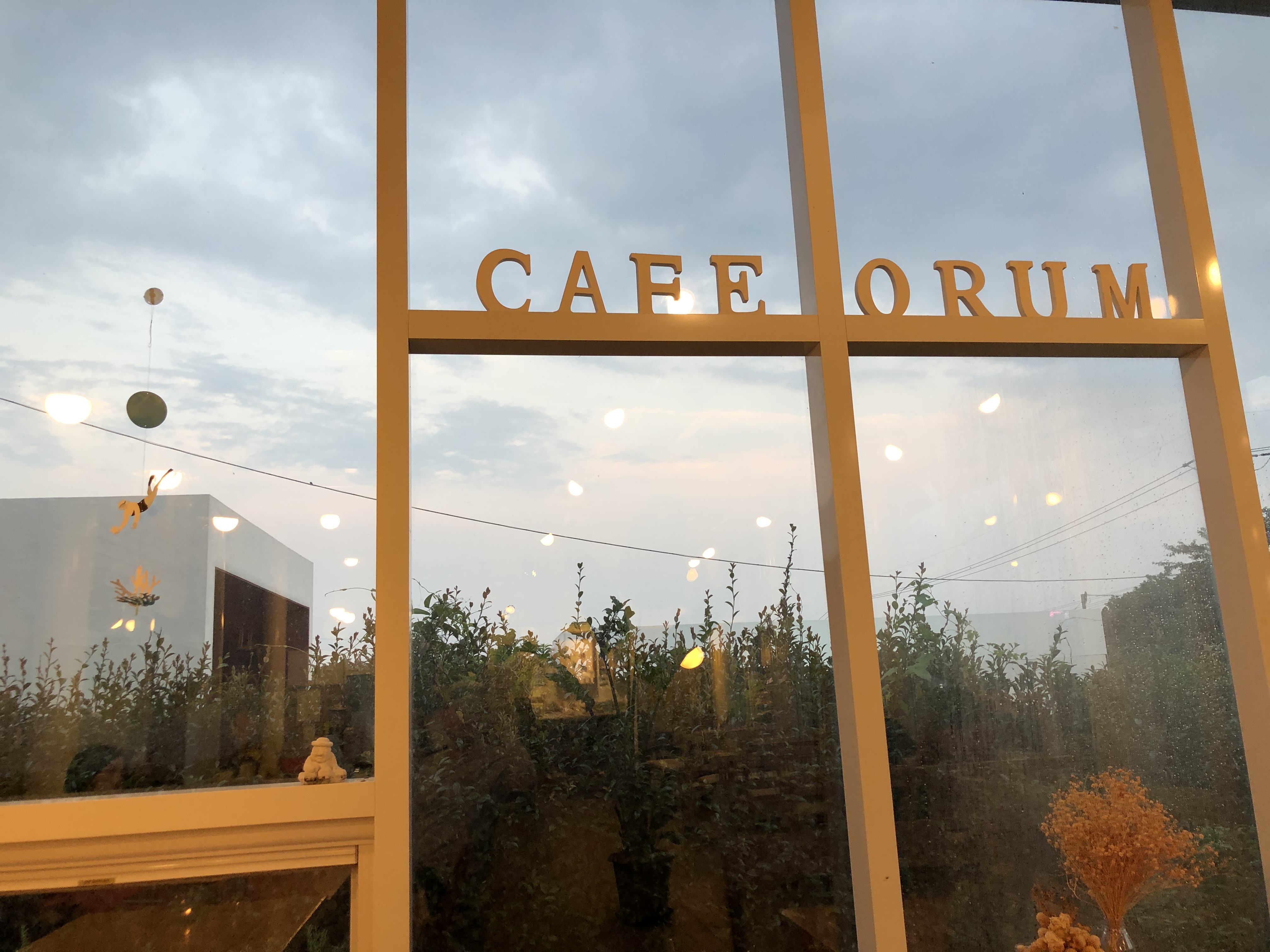  제주도 카페 오름 카페 / Jeju Island Cafe Up