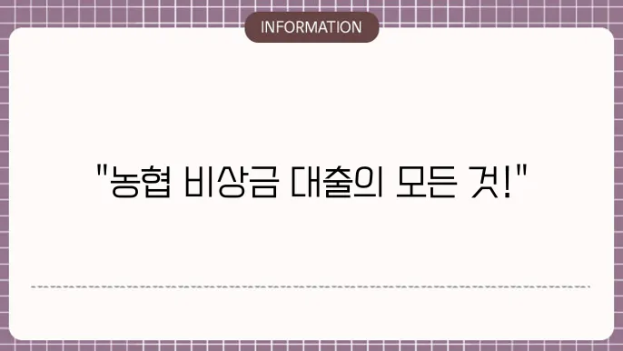 농협 비상금 대출 한도 및 금리 정보