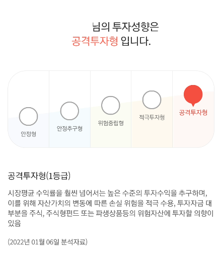 공격성투자형