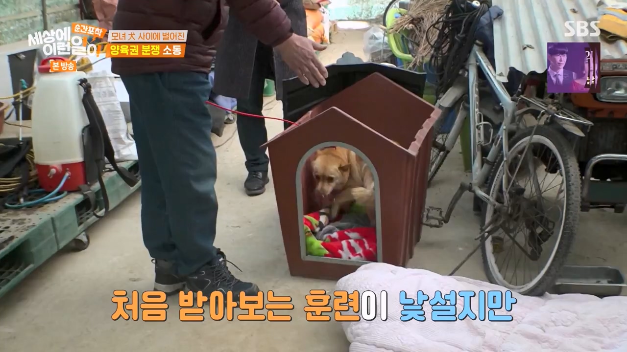 순간포착 세상에 이런일이.E1269.240317p-NEXT.mp4_20240317_163608.390.jpg