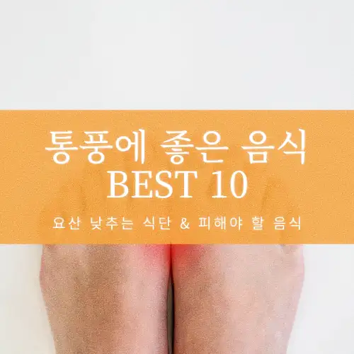 통풍에 좋은 음식 BEST 10