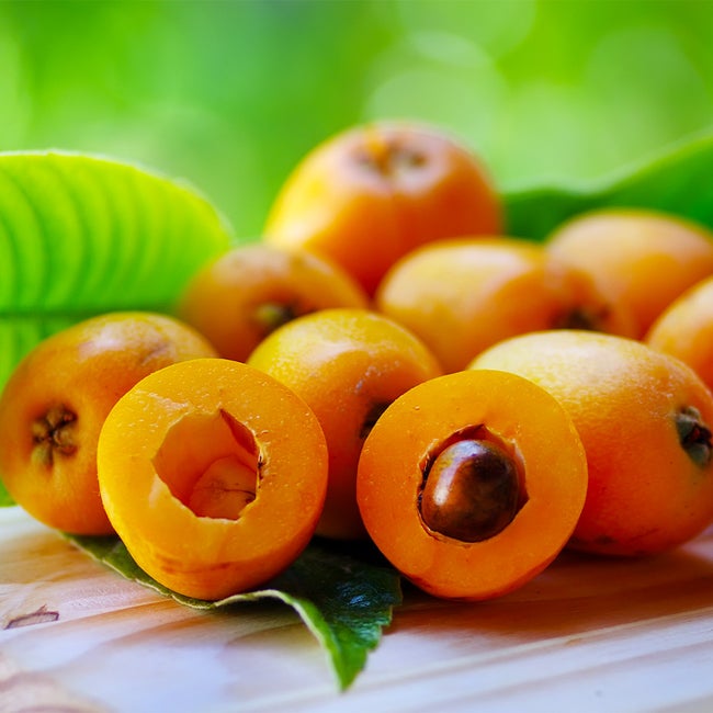 비파나무 열매 Loquat 에 대해서 알아볼게요.