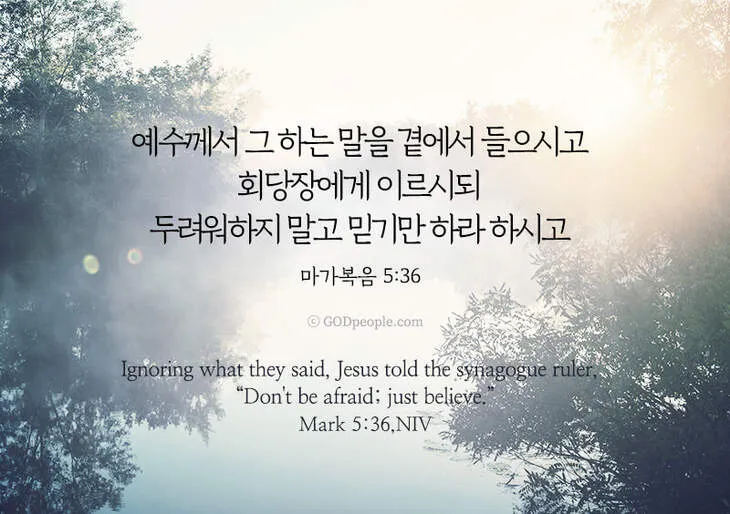 씨 뿌리는 자의 바유 마가복음 성경 묵상_8