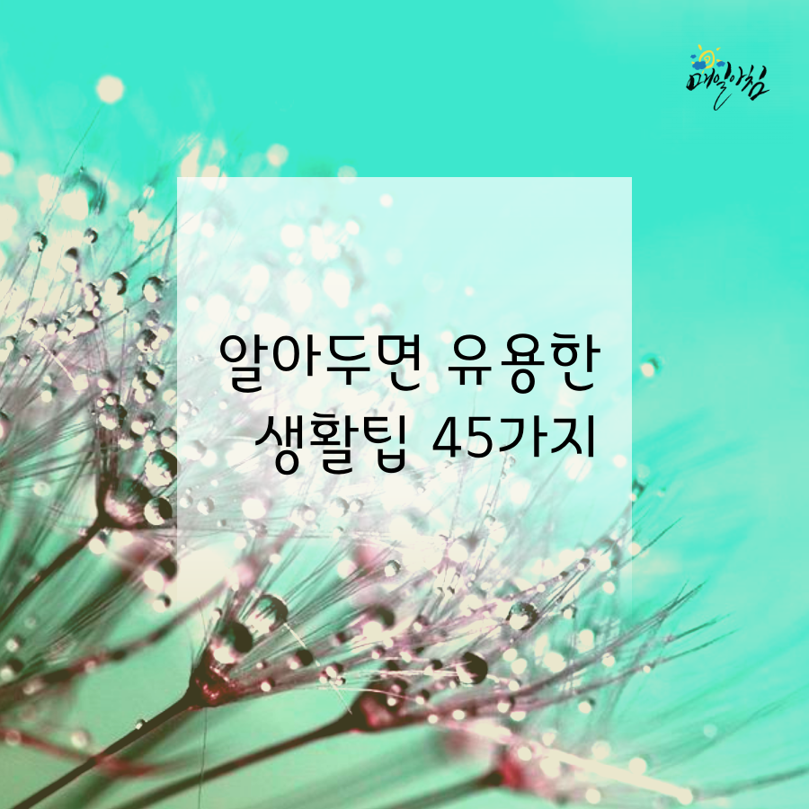  [매일아침좋은글] 알아두면 유용한 생활팁 45가지