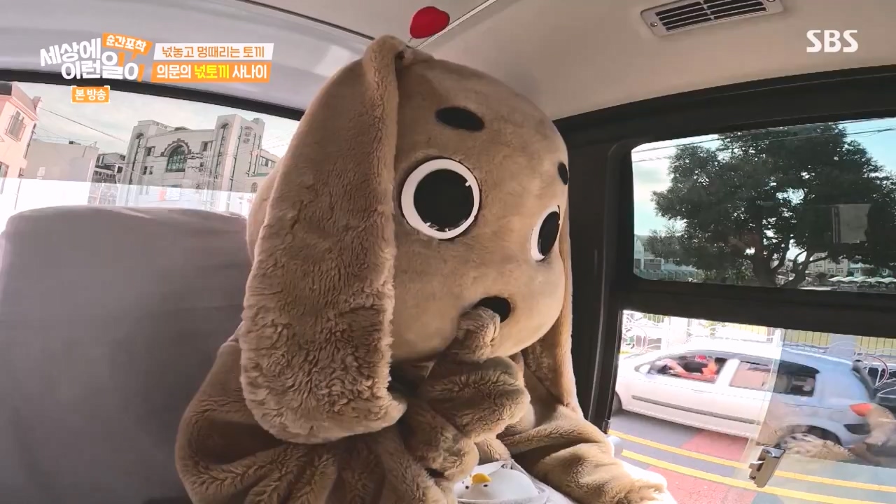 순간포착 세상에 이런일이.E1251.231105p-NEXT.mp4_20231105_172813.258.jpg