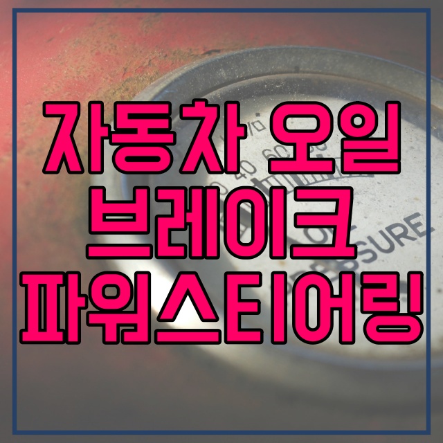  자동차 오일의 종류 (2) 브레이크오일 (3)파워스티어링 오일 132