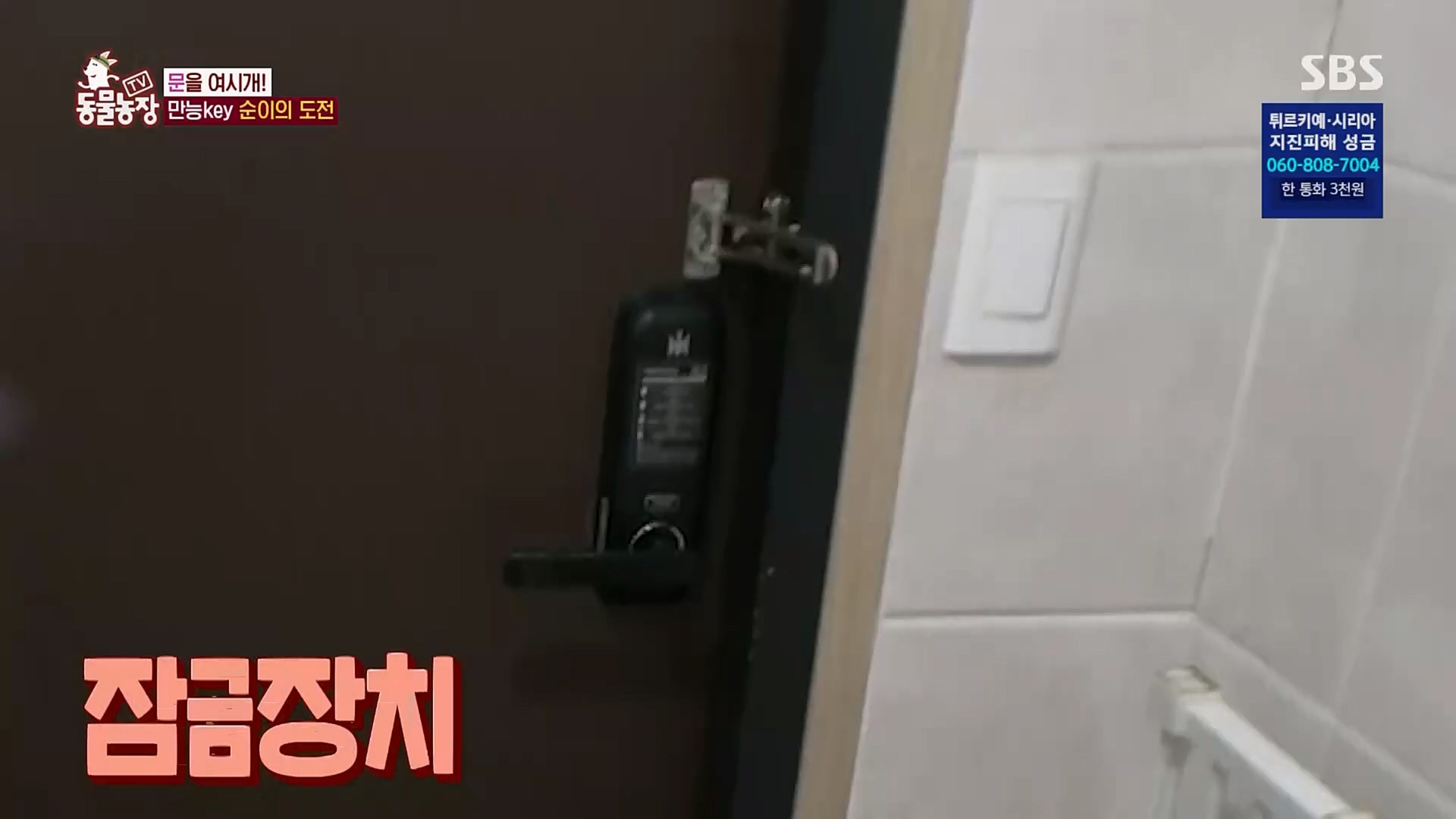 TV 동물농장.E1109.230219p.H264-F1RST.mp4_20230219_142825.554.jpg