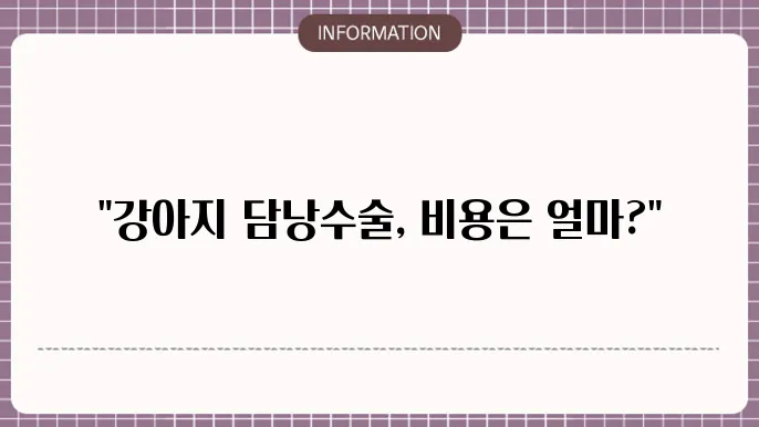 강아지 담낭수술 비용 - 예상 가격 안내