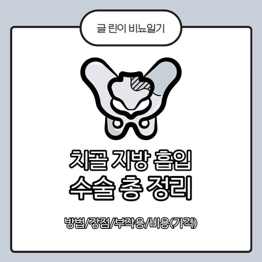 치골 지방 흡입 수술 총 정리 : 방법/장점/부작용/비용(가격)