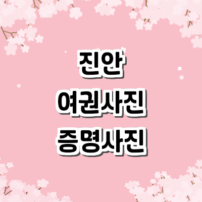 진안군 여권사진