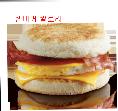 햄버거 칼로리6