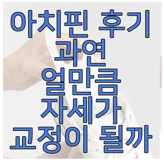 아치핀에 관한 글 보러 가기 링크 사진
