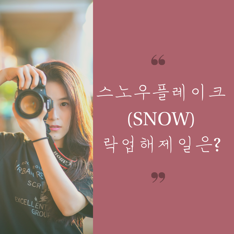  스노우플레이크 (SNOW), 락업 해제일과 주가