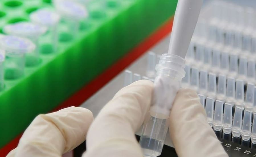  미국, 바이러스 변이 찾아 '새로운 팬데믹' 준비: 러시아 VIDEO: Russia claims US preparing for 'new pandemic' by searching for virus mutations
