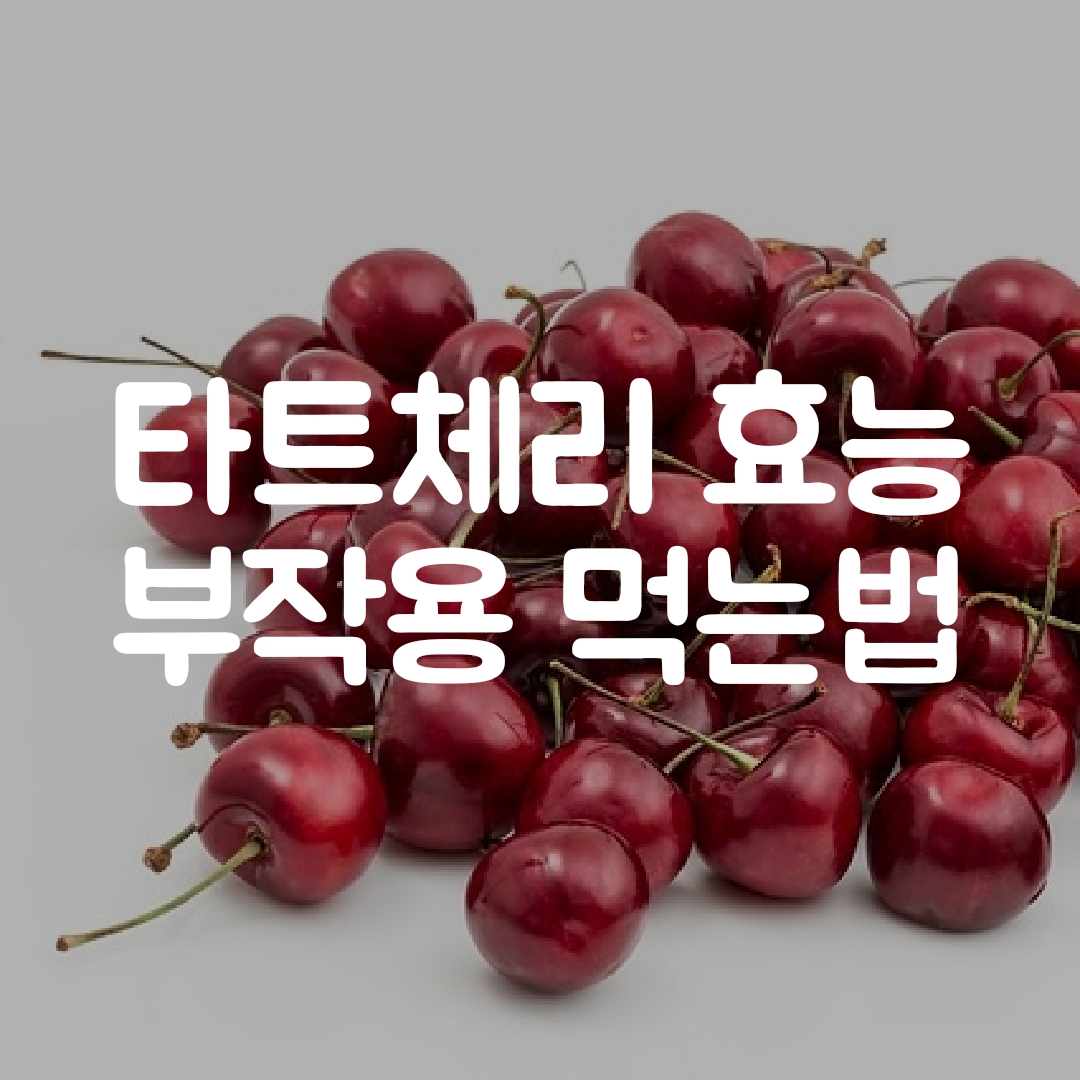 타츠체리효과 부작용, 먹는법, 만성염증과 항산화효과