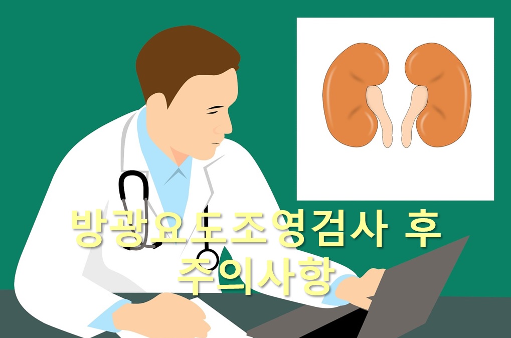  소변 배출과 요도 협착 등을 진단하는 방광요도조영검사 방법