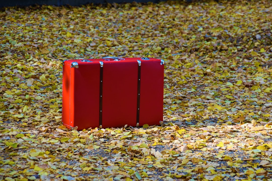 Baggage