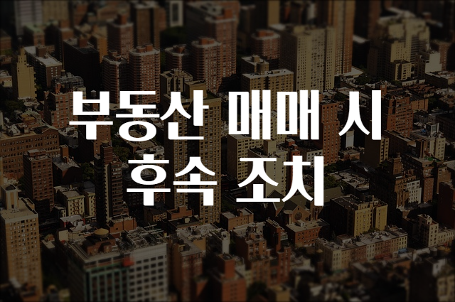 조치조치 이미지