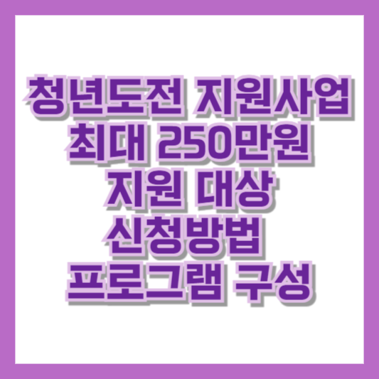 청년도전 지원사업 최대 250만원, 지원 대상, 신청방법, 프로그램 구성