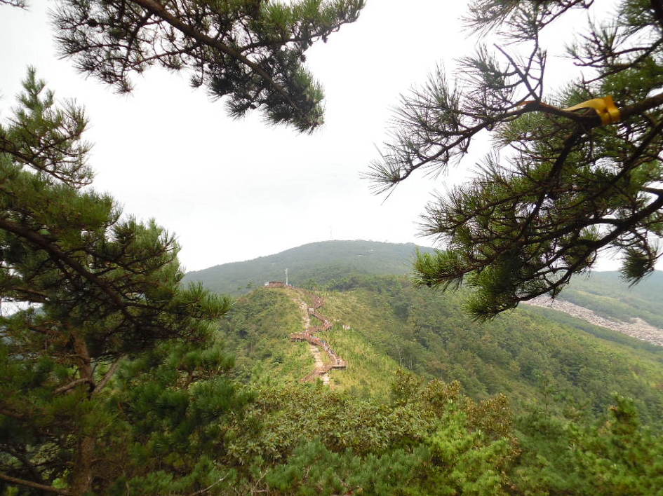 장산 이미지