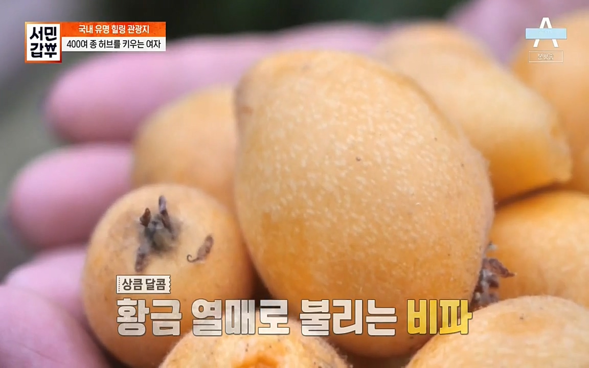 서민 갑부.E380.220424p-NEXT.mp4_20220424_182159.125.jpg