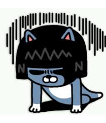  24살 사업..실패와 재도전