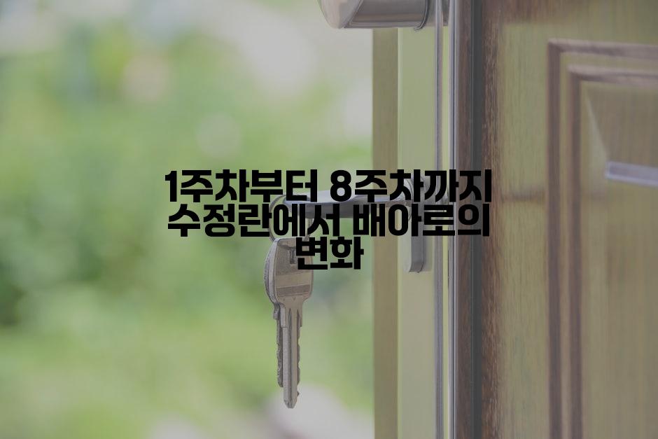 1주차부터 8주차까지 수정란에서 배아로의 변화