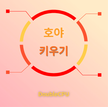 호야 키우기