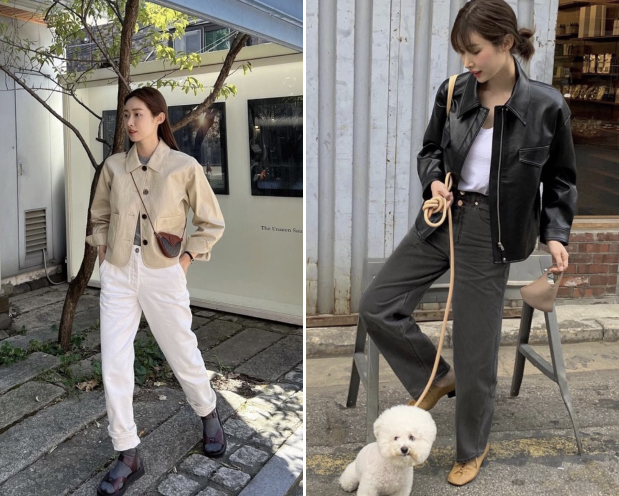  봄 맞이 여자연예인 가죽자켓 코디: 제니, 리사, 헤일리 비버, 노윤서, 김나영, 기은세, 차정원은 가죽자켓을 어떻게 소화할까?