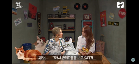 반려동물 키우는 사람들은 다 하는 생각