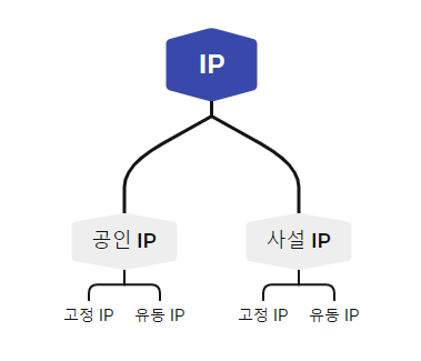 IP 주소 개념 (공인&#44; 사설&#44; 고정&#44; 유동 IP) 구조화로 이해하기